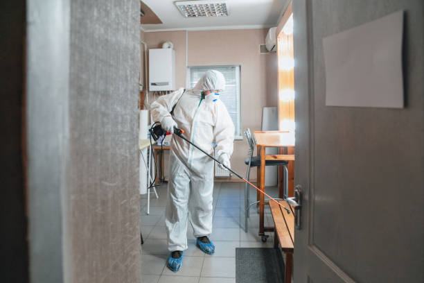 Best Industrial Mold Remediation  in Sturgis, KY