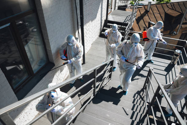 Best Crawl Space Mold Remediation  in Sturgis, KY