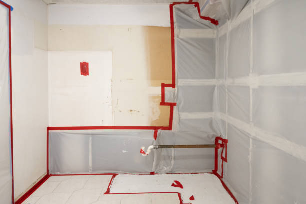 Best Attic Mold Removal  in Sturgis, KY