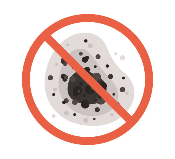 Best Residential Mold Inspection & Testing  in Sturgis, KY