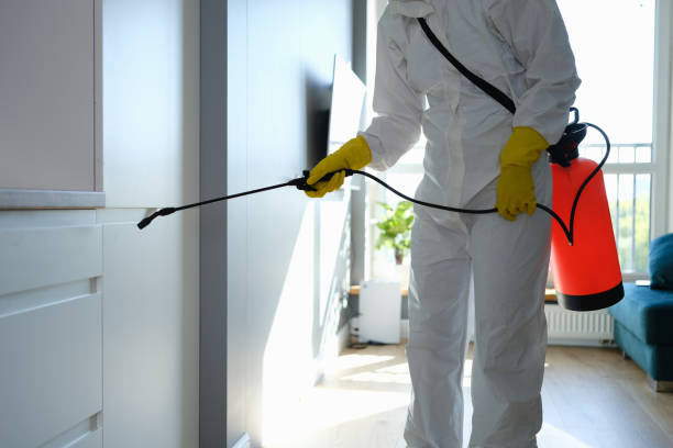 Best Mold Removal for HVAC Installations  in Sturgis, KY