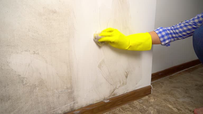 Best Asbestos and Lead Testing During Mold Inspection  in Sturgis, KY