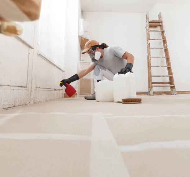 Best Commercial Mold Inspection  in Sturgis, KY